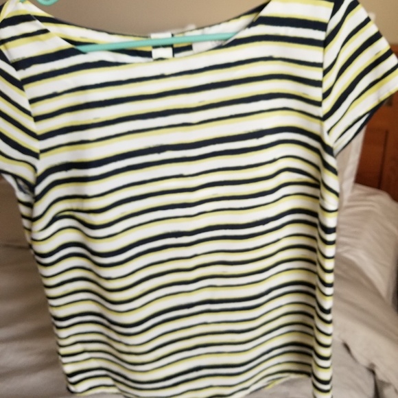 Loft Medium Short Sleeve Top - Picture 3 of 5